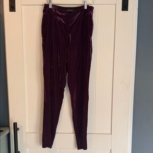 BCBG Velvet Straight Leg Pants in Deep Purple